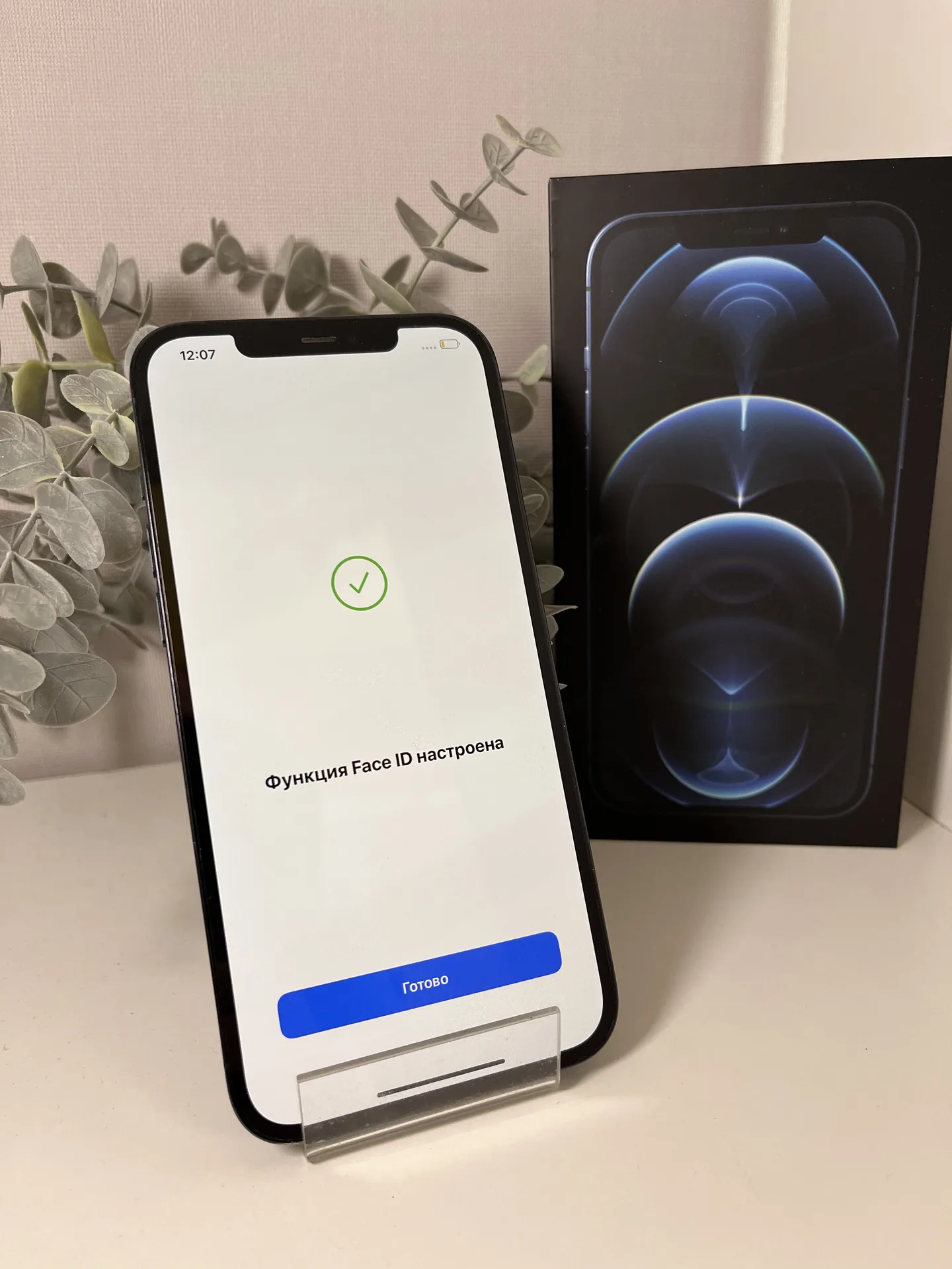 iPhone 12 Pro Max 256gb