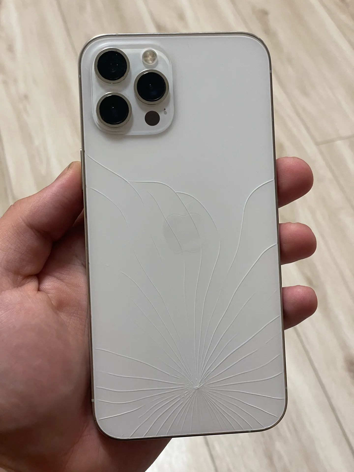 iPhone 12 Pro Max 256gb