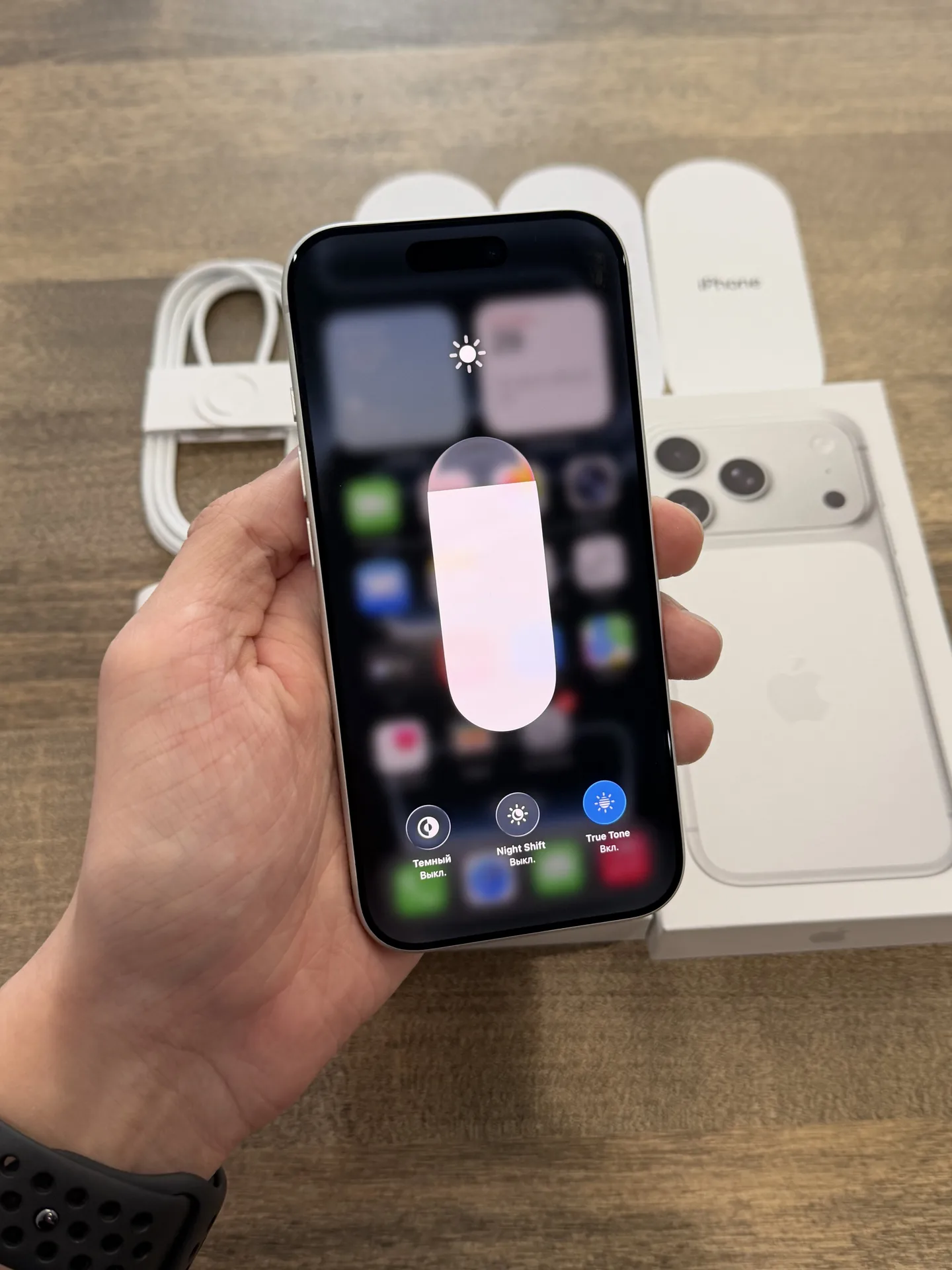 iPhone 17 Pro Silver 256GB
